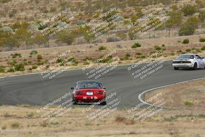 media/May-03-2025-Lucky Dog Racing (Sat) [[206de64b9d]]/Turn 2 (1020am-1120am)/